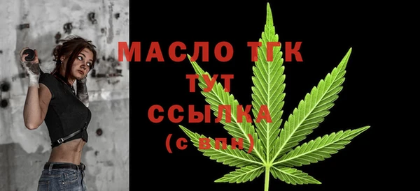 мет Каменка