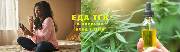 индика Семикаракорск