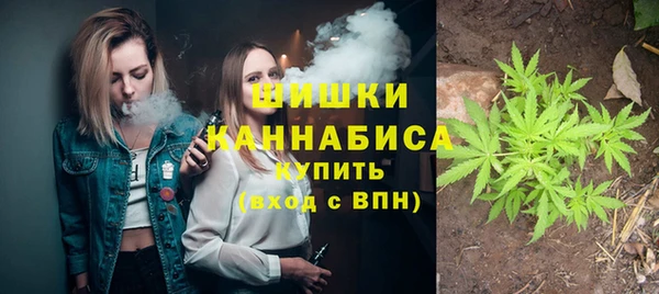 тгк Каменногорск