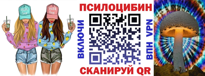 где можно купить   Краснослободск  Галлюциногенные грибы GOLDEN TEACHER 
